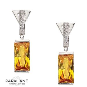 🔥NWT🔥PARKLANE 🔥SPECTACULAR🔥 EARRINGS 🔥